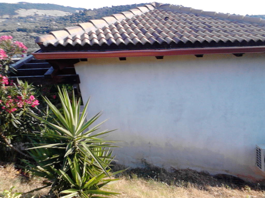 Affittacamere Valverde Di Naitana Rita Alghero Exterior foto